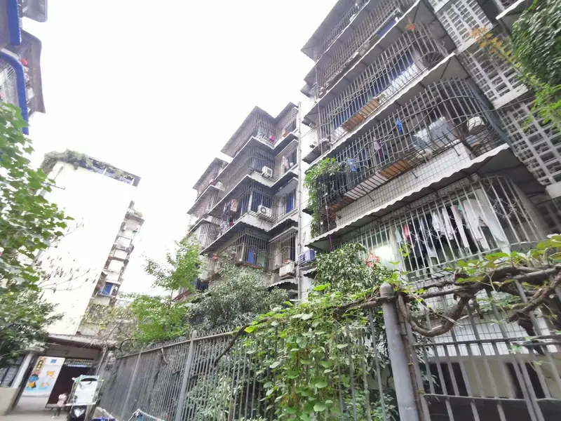 横四道街5号院3室1厅1卫西南朝向2300.00元/月出租