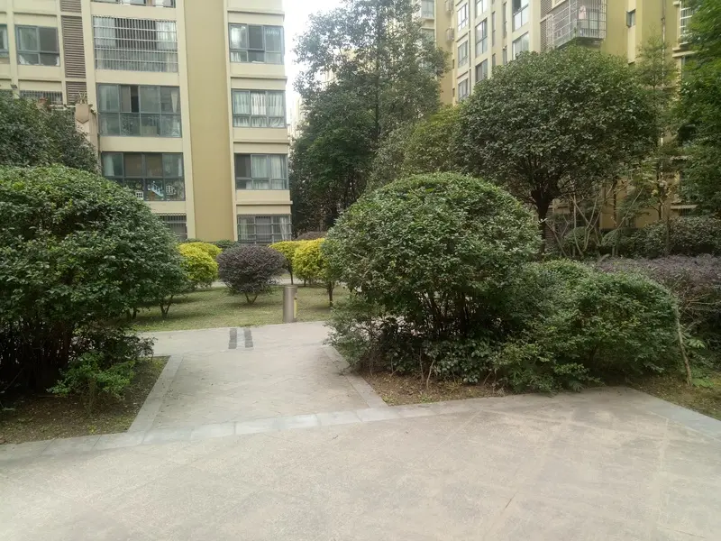 新碧园2室2厅1卫东南朝向1800.00元/月出租