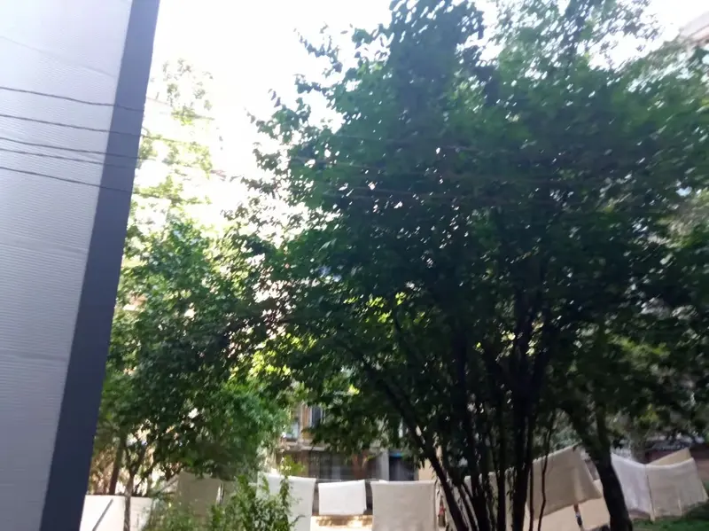 整租·实业街23号 3室2厅 东南