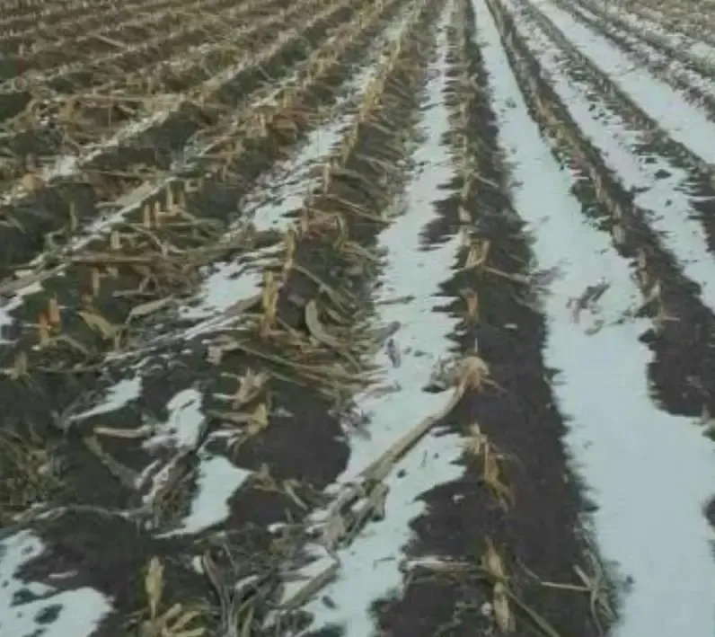 土地七亩地转让流转