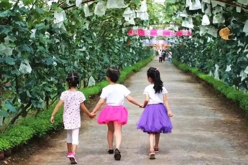 低价转让鞍山市千山区75亩有机生态采摘园农场