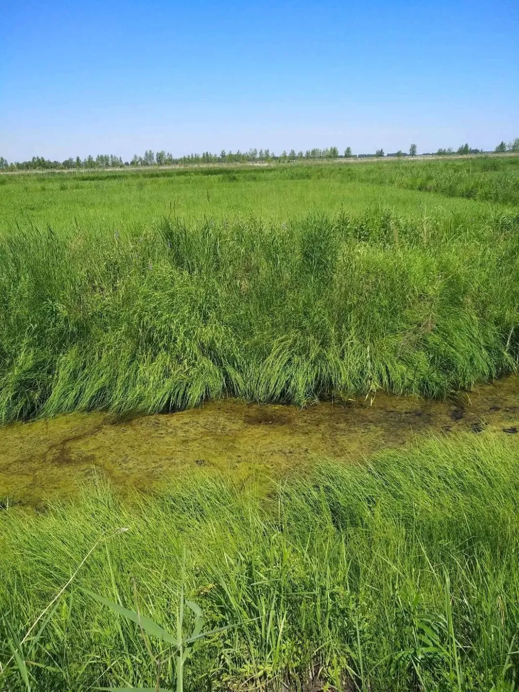 一千亩稻田整体打包转让