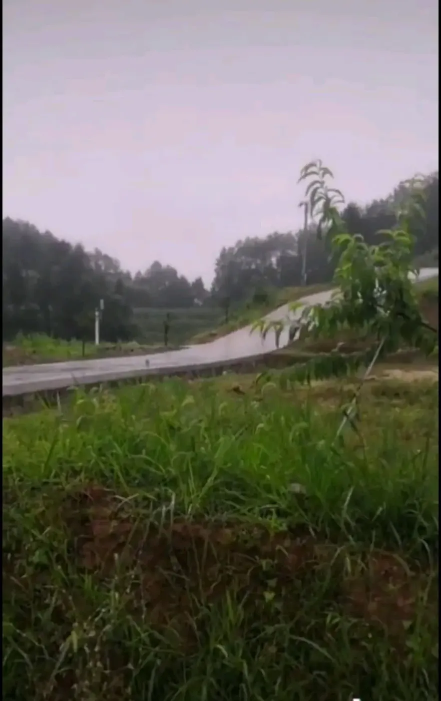 重庆市山庄农家乐转让