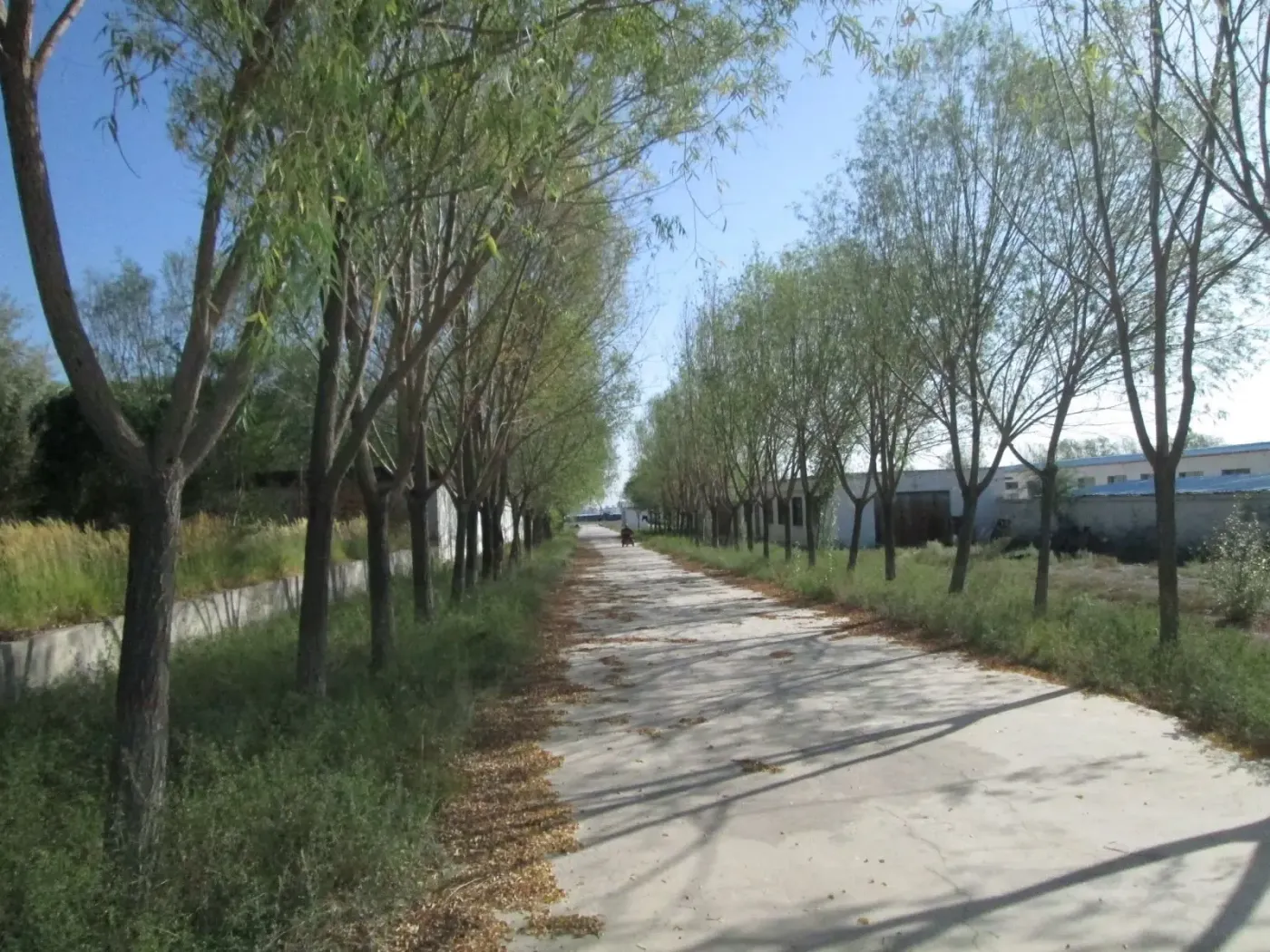 破产企业，土地房产出售！