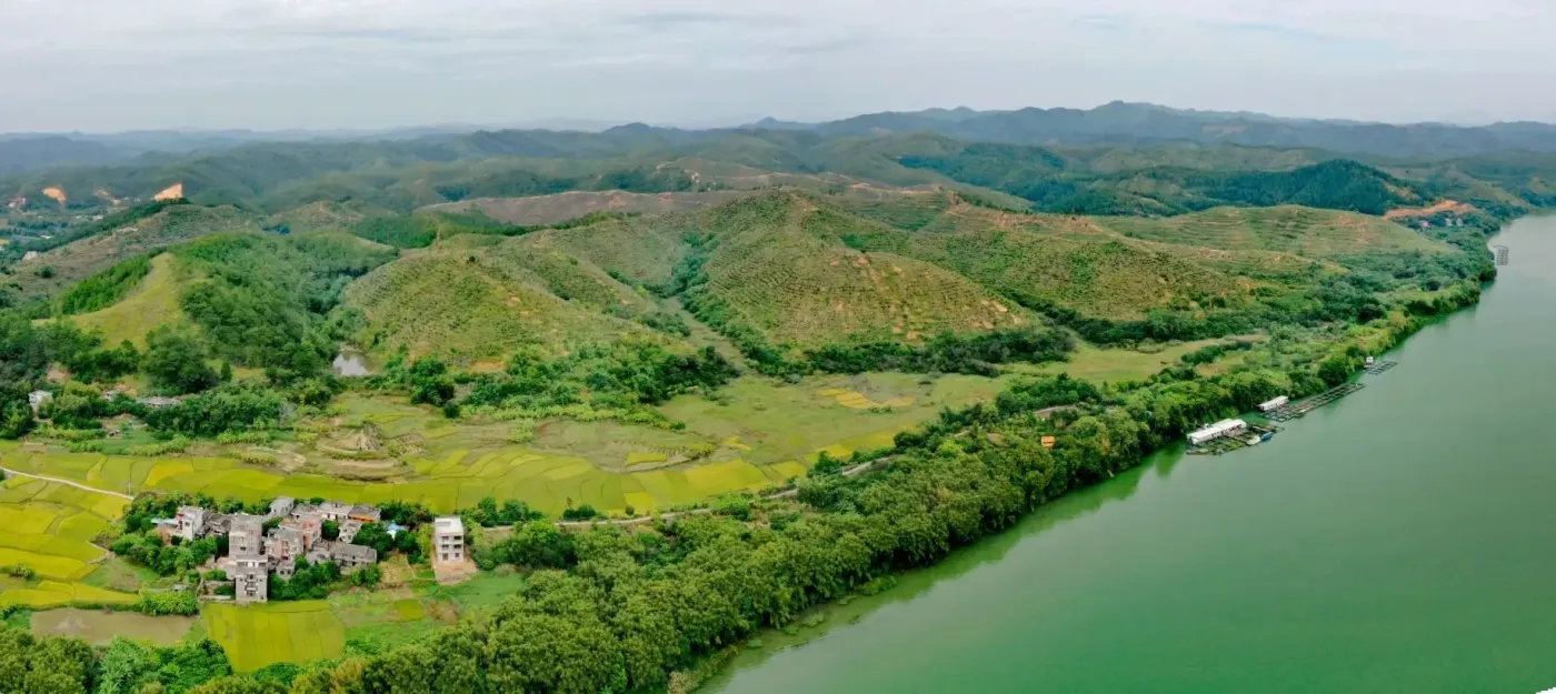 广西梧州藤县3000亩（油茶林地）农林综合开发基地转让