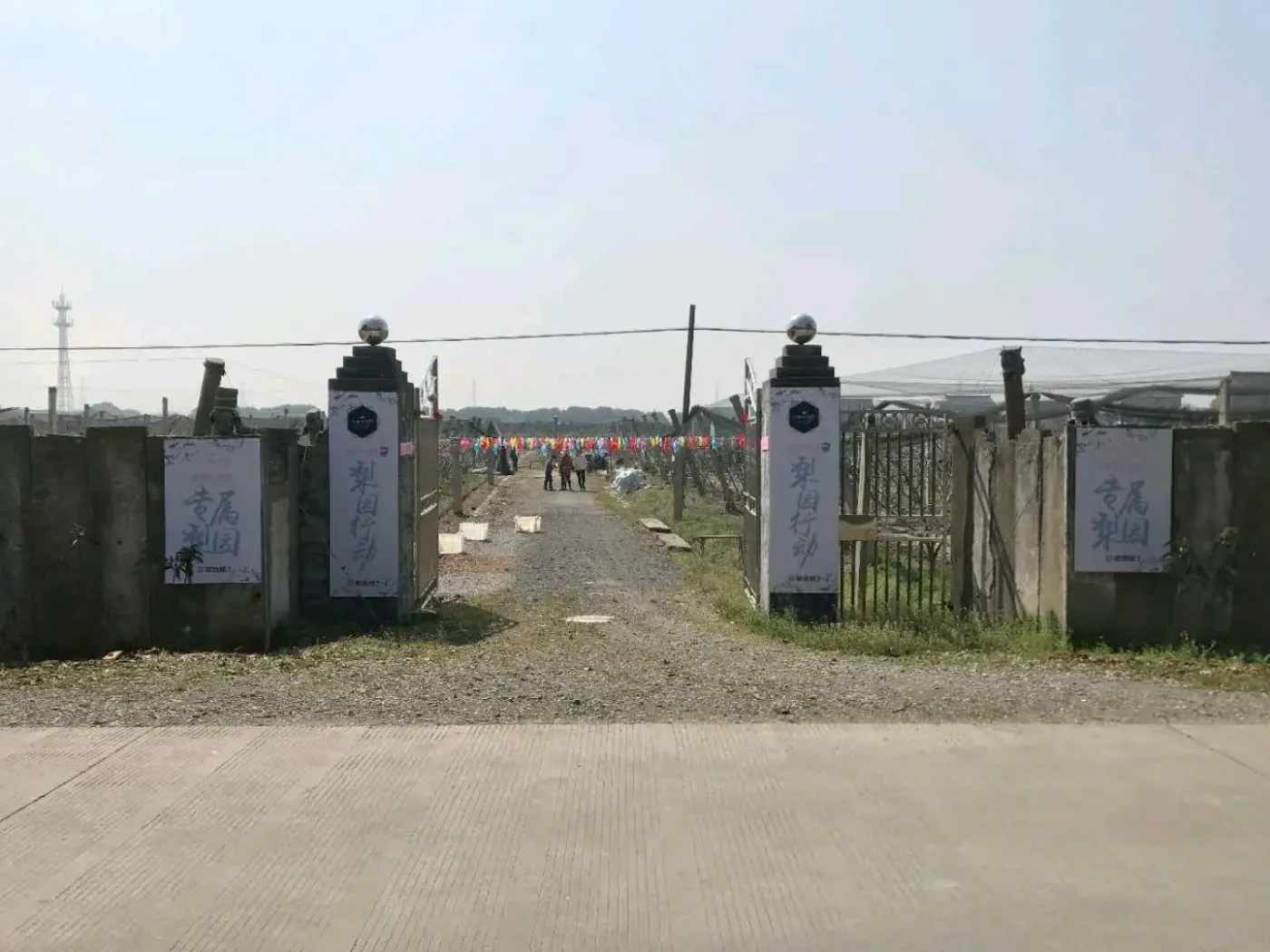 嘉兴海宁市35亩园地-8年精品梨园合作转让