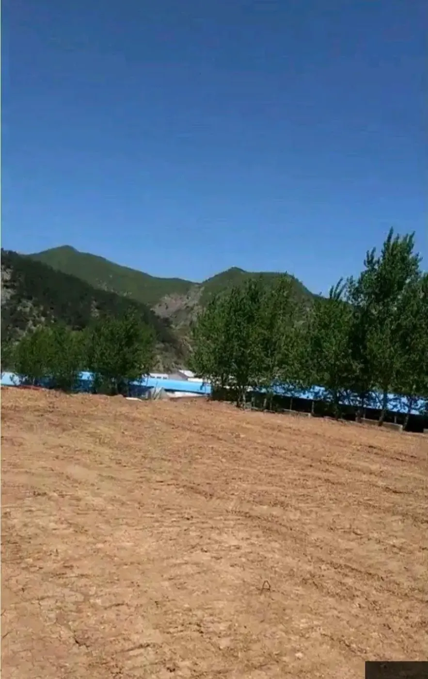 青山绿水，环境好，适合养殖和种植