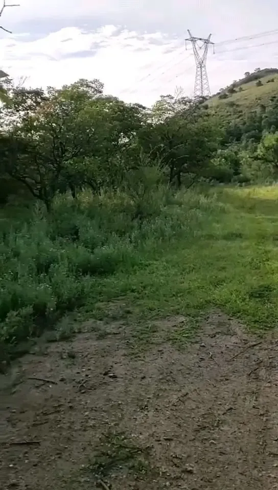 搞养殖场的最佳选择:不靠村庄，搞养鸡场，养鹿场、养牛、羊养驴都是最佳地方，离居民远没有人打扰，不会有细菌传染，搞绿色养殖场是最棒的地！