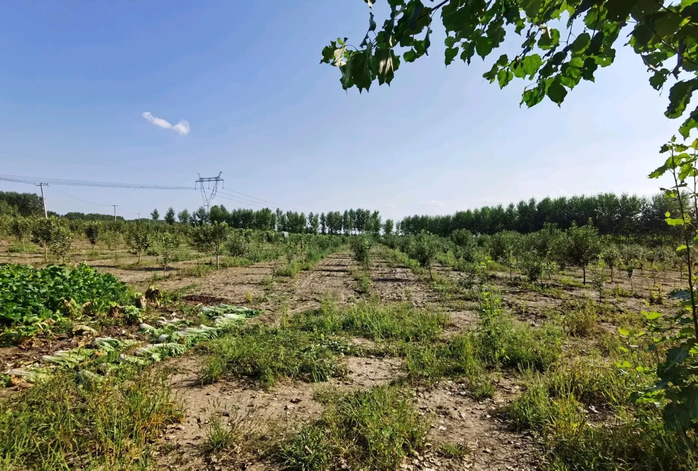 家庭农场出售，有住宅80平，大库房160平，有水电，地上有3000多颗3年果龄的果树，可以养殖，可以做采摘园。