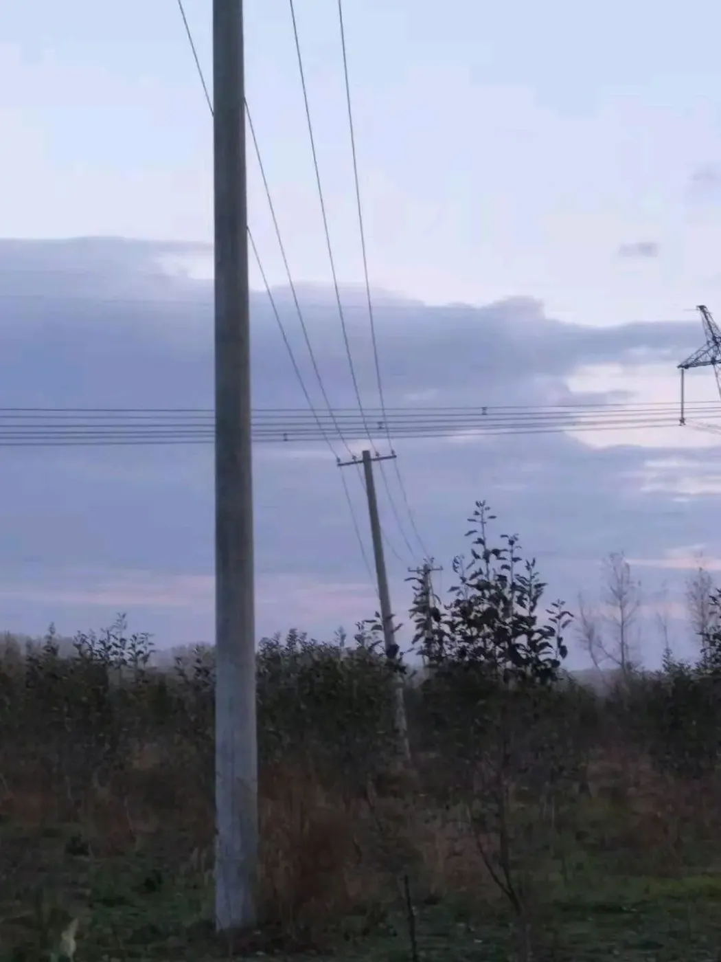 果树地，可以养殖，可以盖大棚，有家庭农场手续