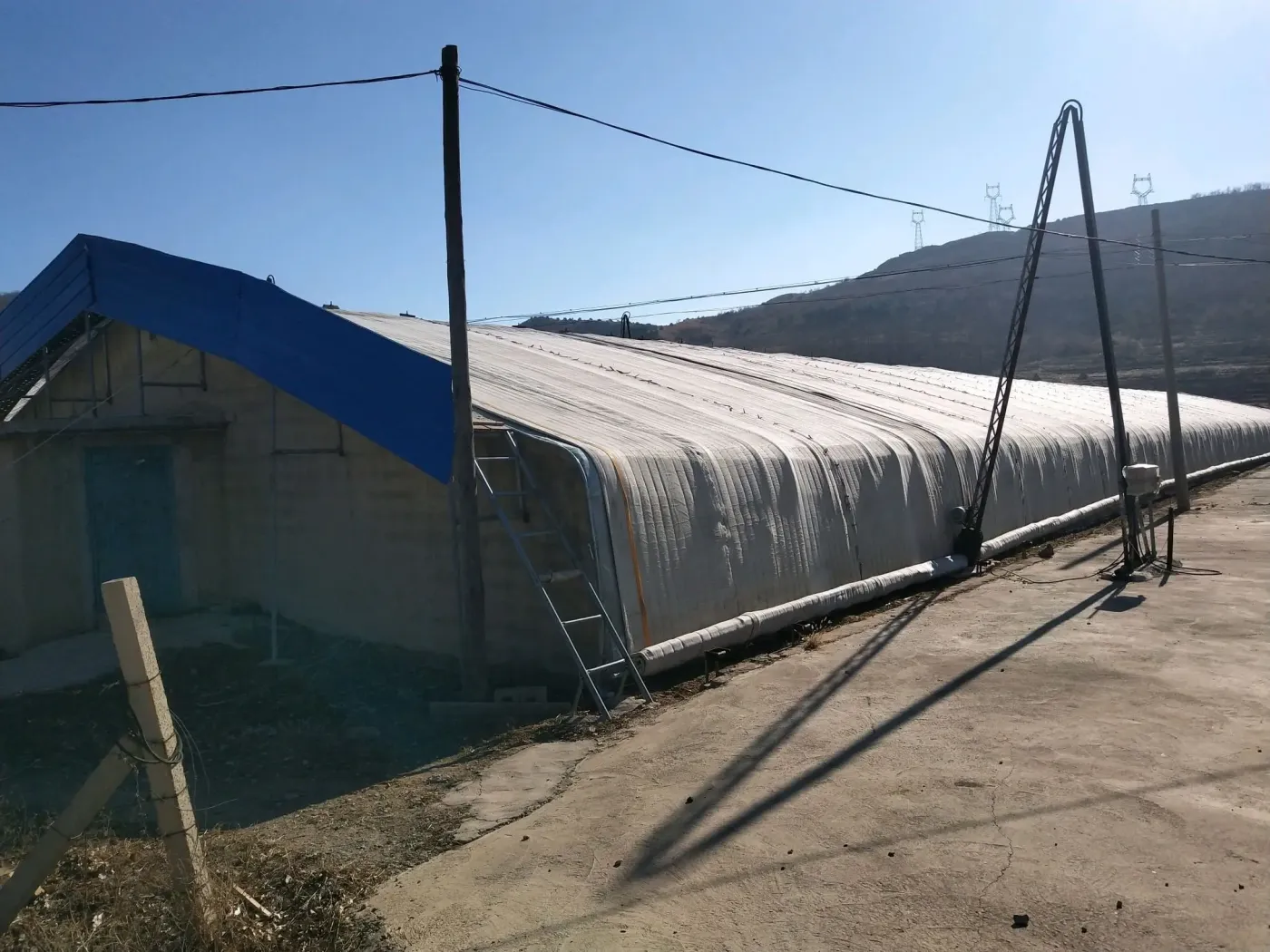 30亩设施农业用地8个大樱桃棚1000平正规厂房转让出租