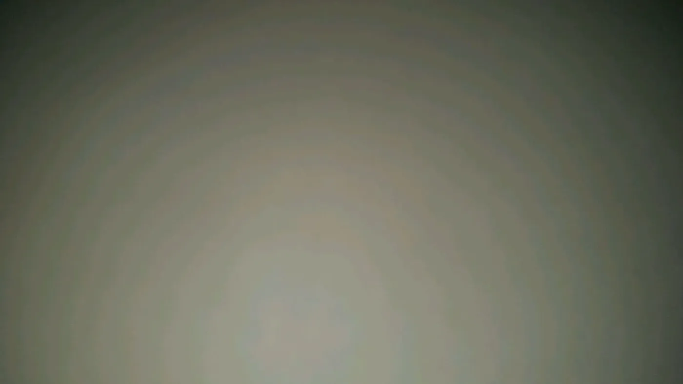 和这个地球说再见吧。