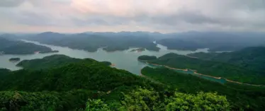 藏不住了！中山万亩红树林湿地聚集区，竟有这样一座美居大城！