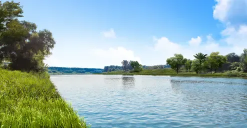 公园十七区深度洞察城市人居需求,择址罗马湖湿地公园旁,打造生态宜居