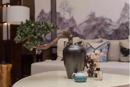 为美好而来|合院臻礼|一院天地宽，量少席臻，合院不再有
