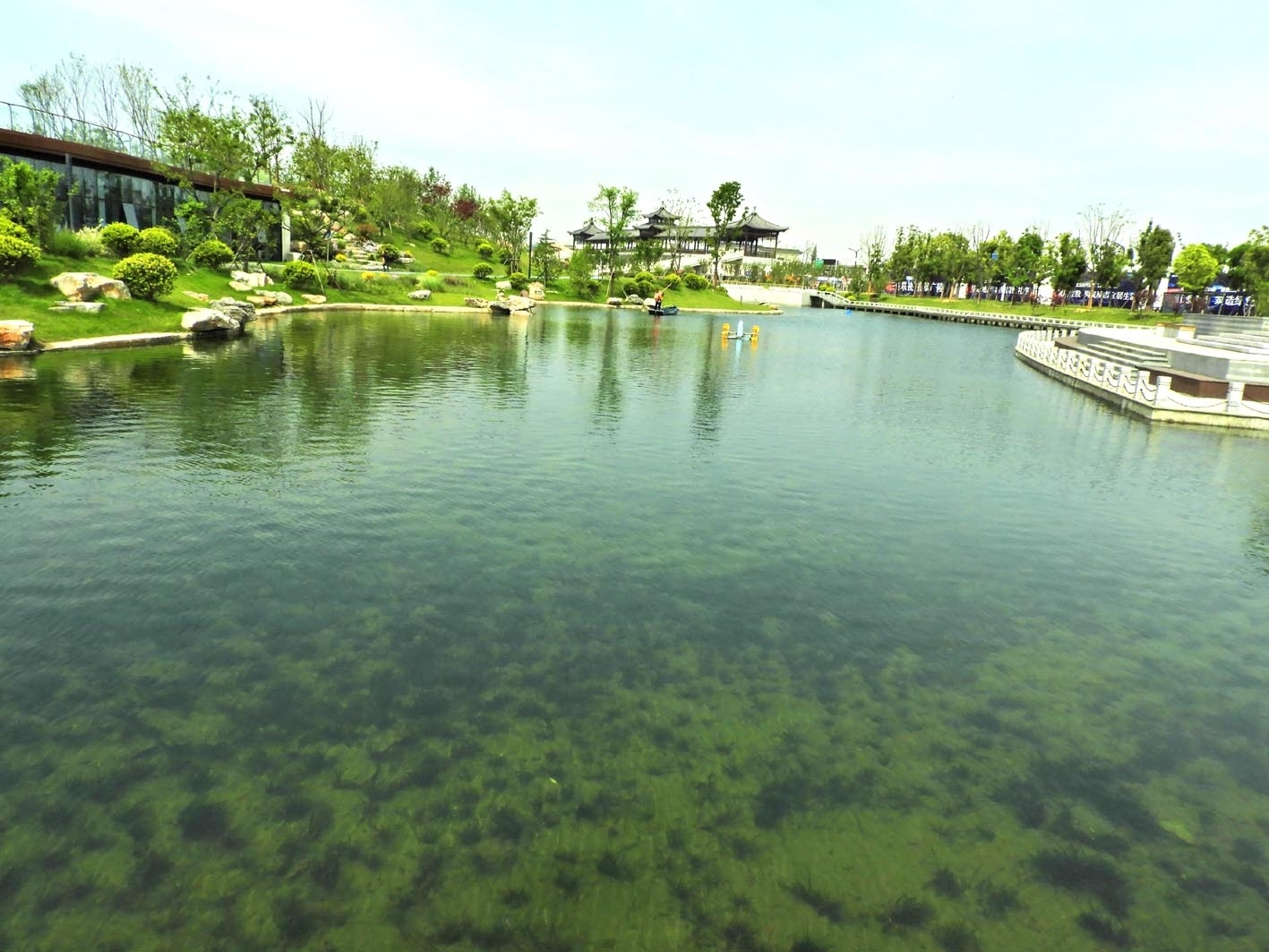 立体生态修复一个多月七里河公园人工湖现“水下草原”