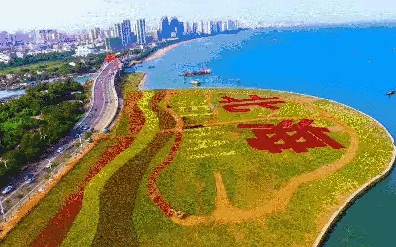 北海楼市逆风翻盘?楼市巨头纷纷“盯”上北海!