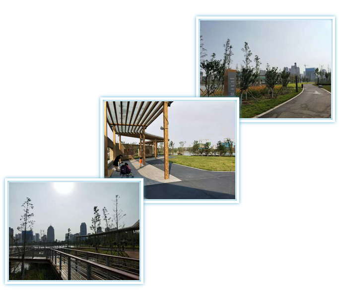 安阳环高铁生活圈进入全面落实阶段 1400亩绿地为新生活PLUS