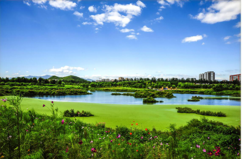 郑州孔雀城公园海 | 与自然为伴，将诗意写进生活