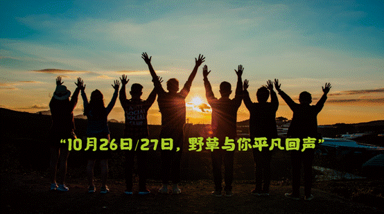 华远地产举办2019年野草音乐节发布会