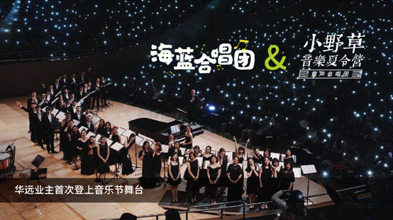 华远地产举办2019年野草音乐节发布会