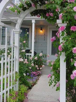 景粼天著：想要一个小院子，花开花落一辈子