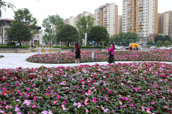 蜕变！花海盛宴 丨美的·国宾府全新广场花间盛放