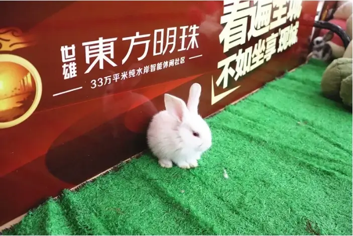 玉兔下凡闹中秋｜东方明珠中秋萌兔总动员活动圆满落幕！