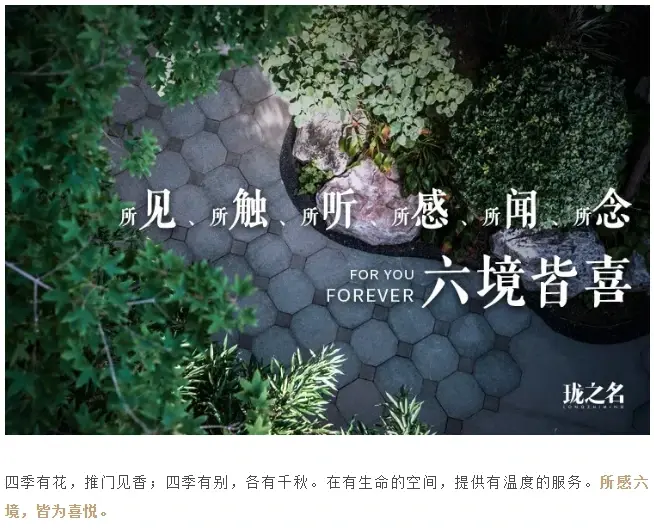 龙湖智慧服务高端服务品牌发布