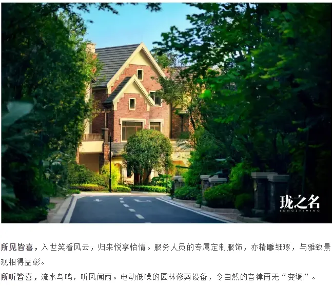 龙湖智慧服务高端服务品牌发布