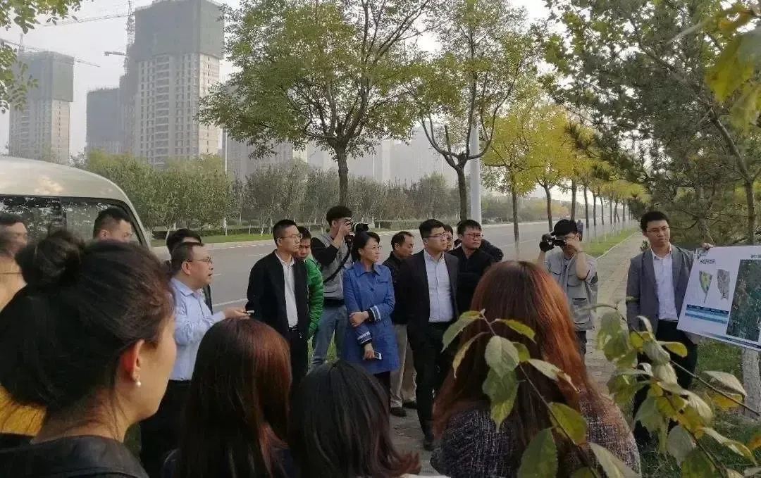 “协同新高地 美丽新武清”2019-2020武清区城市发展高峰论坛暨土地专场推介会圆满落幕