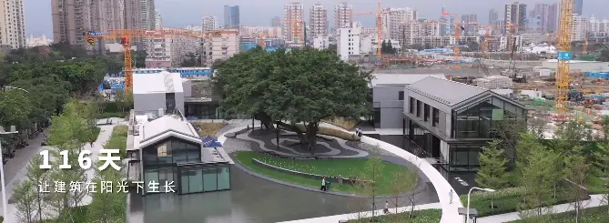 一场榕树下沉浸式发布会，将阳光城的愿景娓娓道来