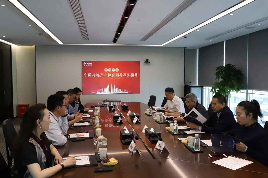 中国房地产业协会领导一行莅临奥山控股调研指导