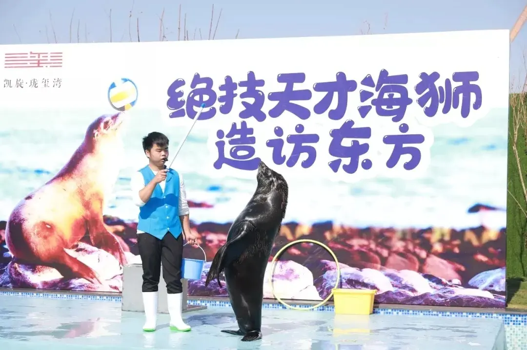 凯旋·珑玺湾丨园林示范区&样板房盛启