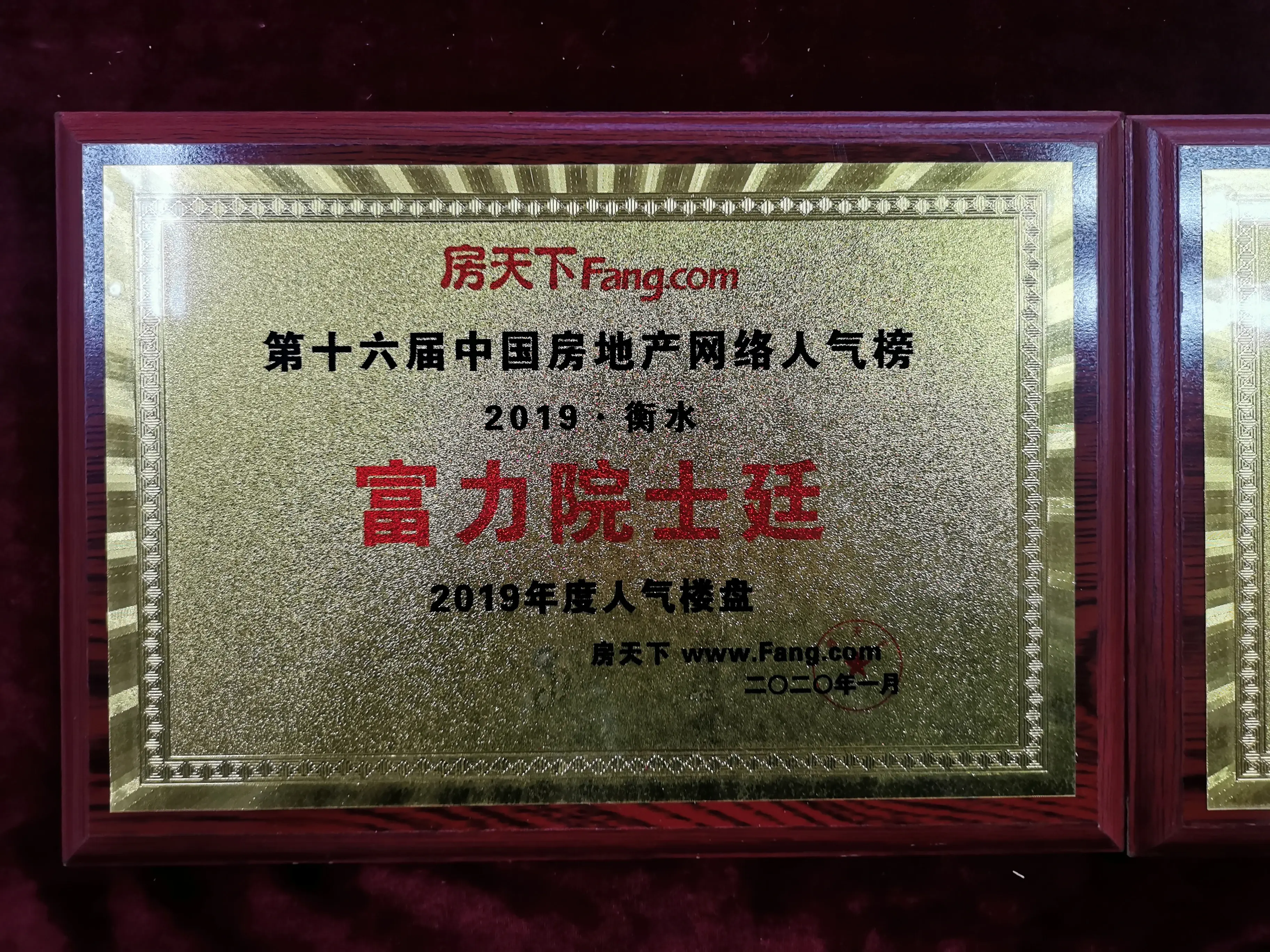 富力奖牌2.jpg