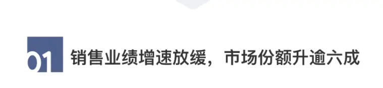 2020中国房地产百强企业研究报告