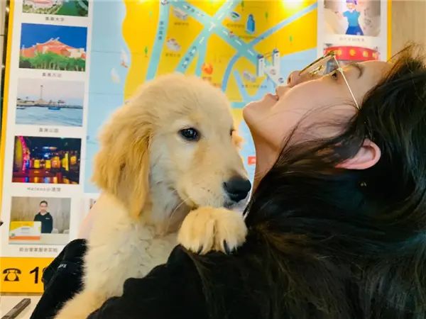 厦门龙湖丨集美网红宠物公寓，铲屎官们速速集合！