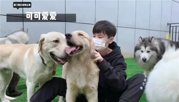 厦门龙湖丨集美网红宠物公寓，铲屎官们速速集合！