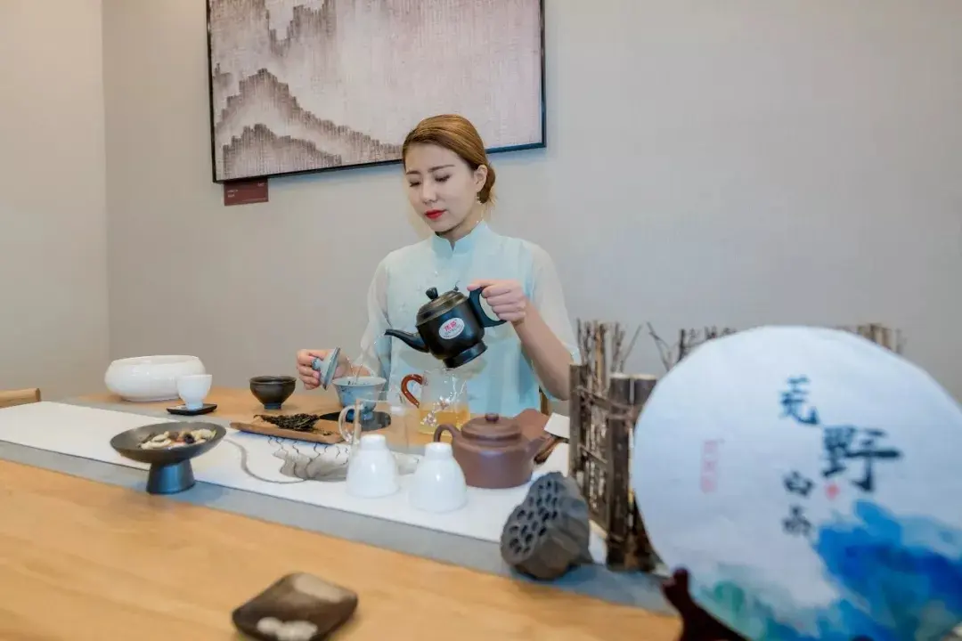 鲁商·东阿喜园|宽厅阔宅，悠悠古城中的城市人居理想