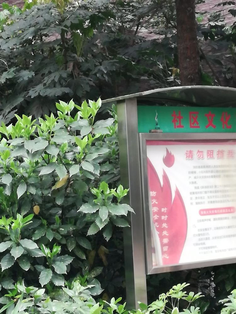 汉江新城拙政苑 满园春色