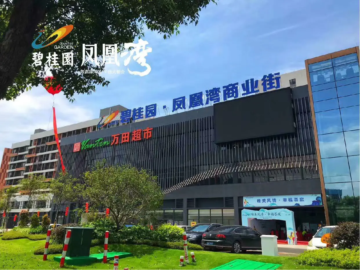 重磅！顺德顺兴大桥、顺德体育中心动工！碧桂园凤凰湾大城配套再升级