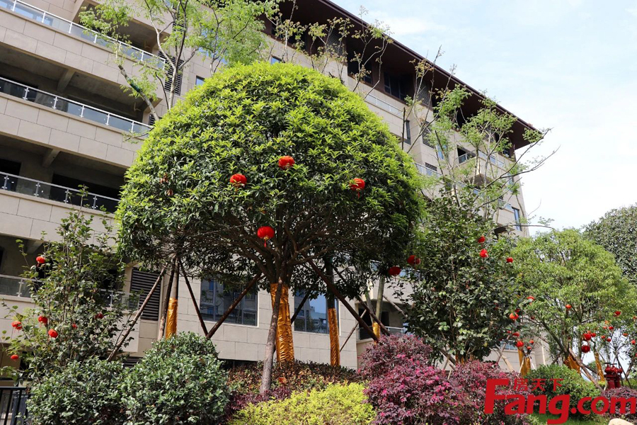 昊天·珑璟湾丨唯此独有退台式花园洋房，让宜居生活更近一点