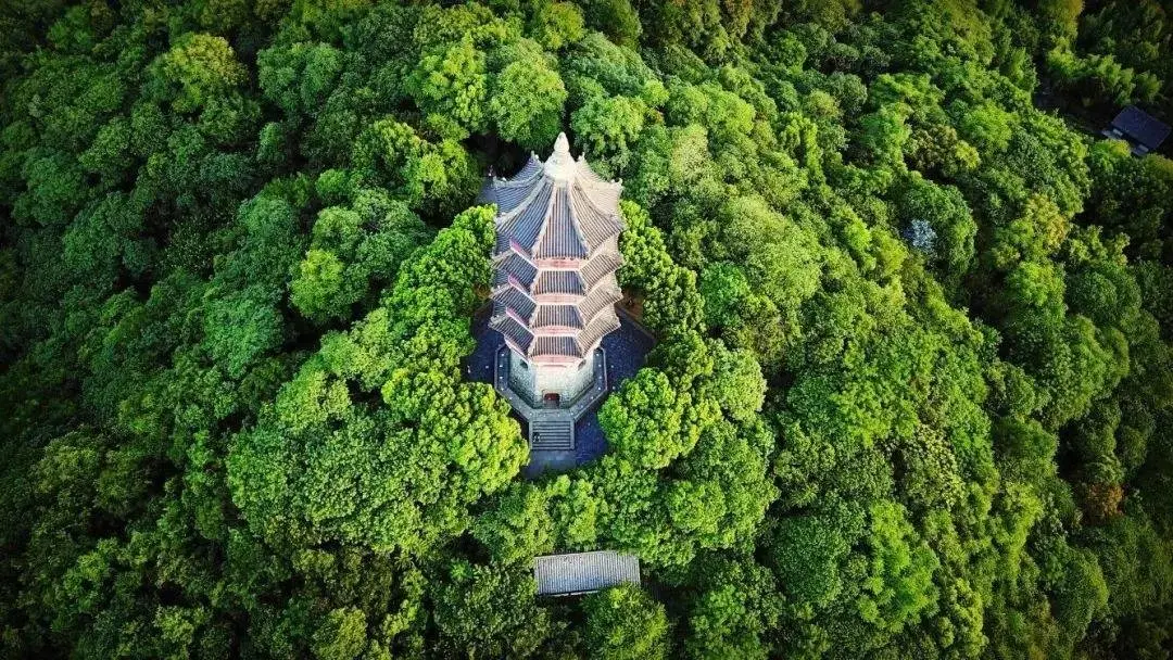 星尚镜廷认筹盛启！扫地机器人、小米电饭煲只等你砸