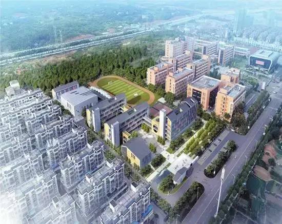 区域利好集中兑现 金侨·印象湘江成为2020置业新风口！