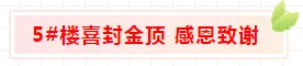 【海湘速度 实力见证】海湘华府5#栋喜封金顶 感恩回馈