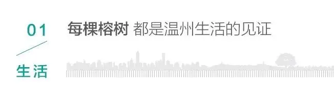 与城市共榕生长娄林峰独木成林的温州精神