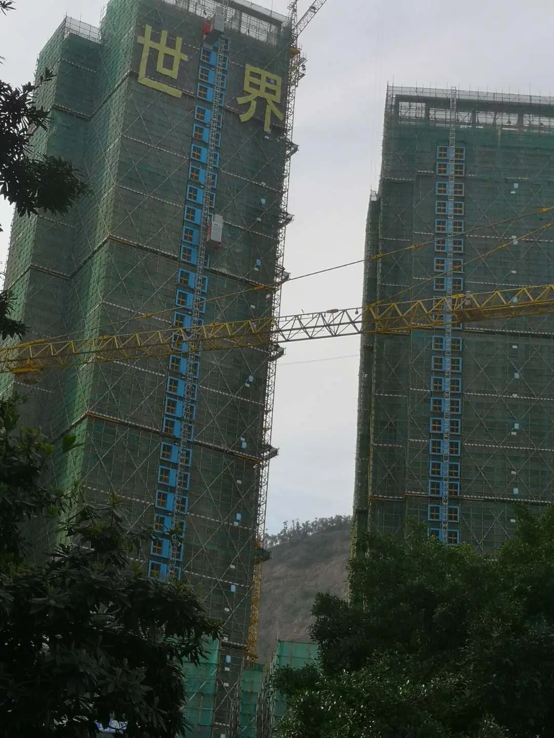 微信图片_20200325180212.jpg