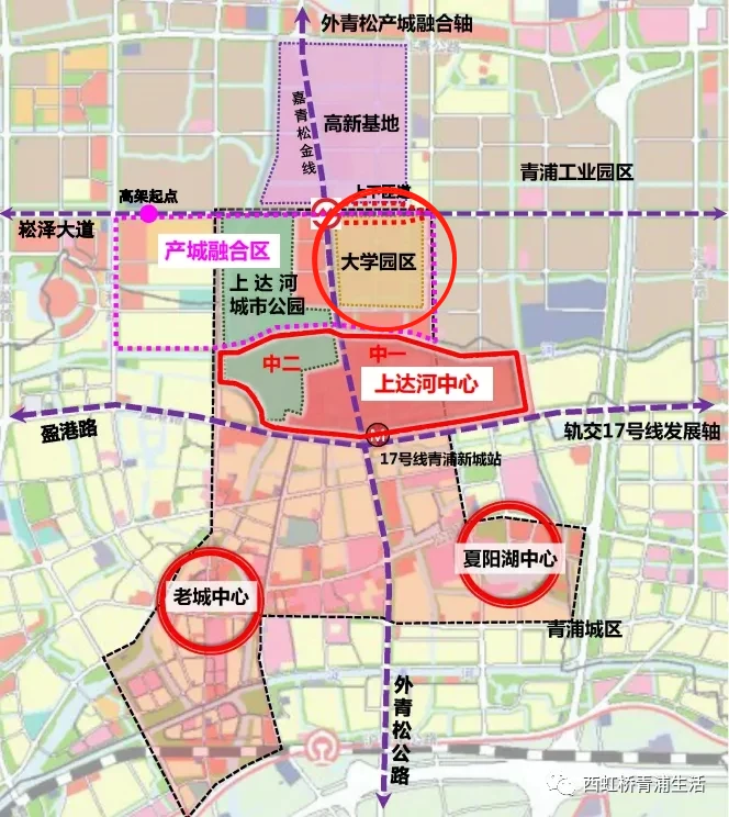 重磅!青浦与上海理工大学签署战略合作协议!