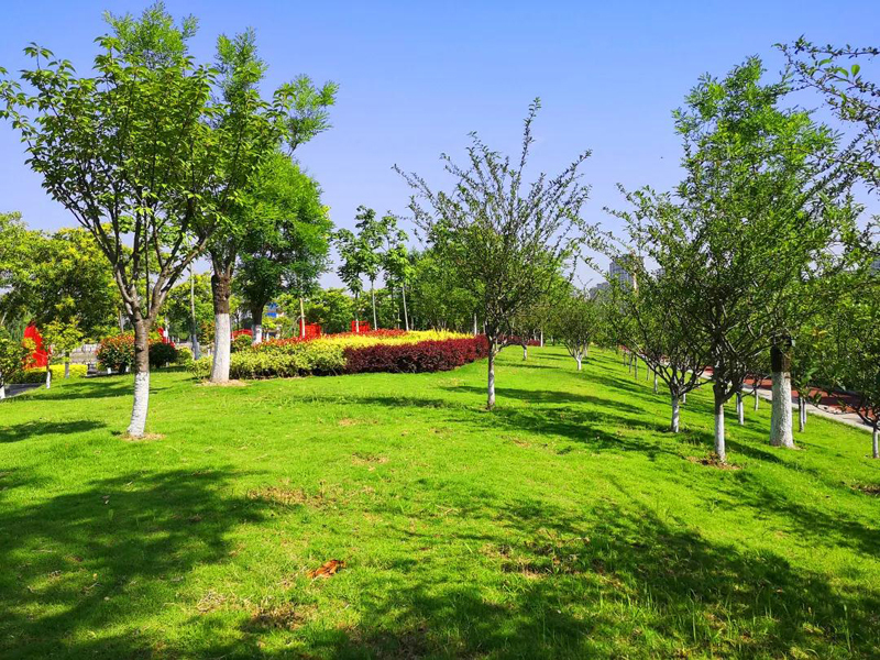 沔阳公园实景图