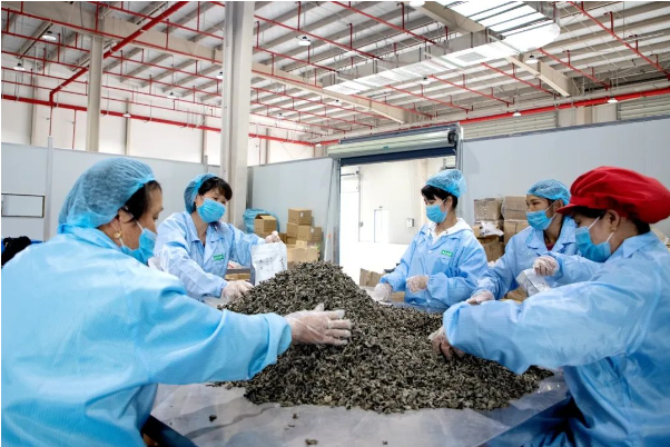 集团首次入围中国产业园区运营商综合实力10强